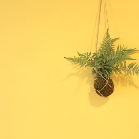 小巷微光 Apartamento Ilha Verde Exterior foto